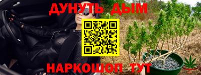 прущая мука Гай