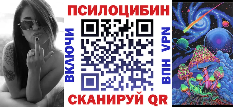 Псилоцибиновые грибы MAGIC MUSHROOMS  цены наркотик  Избербаш 