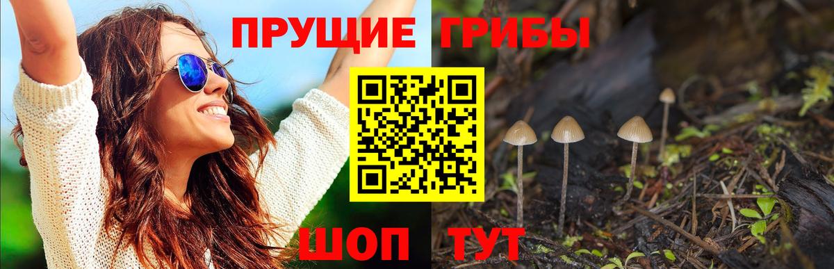 Псилоцибиновые грибы MAGIC MUSHROOMS  Псилоцибиновые грибы мицелий  Избербаш  Вход с VPN 